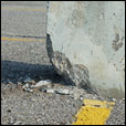 Concrete Restoration